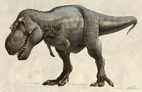 Illustration of Tyrannosaurus rex